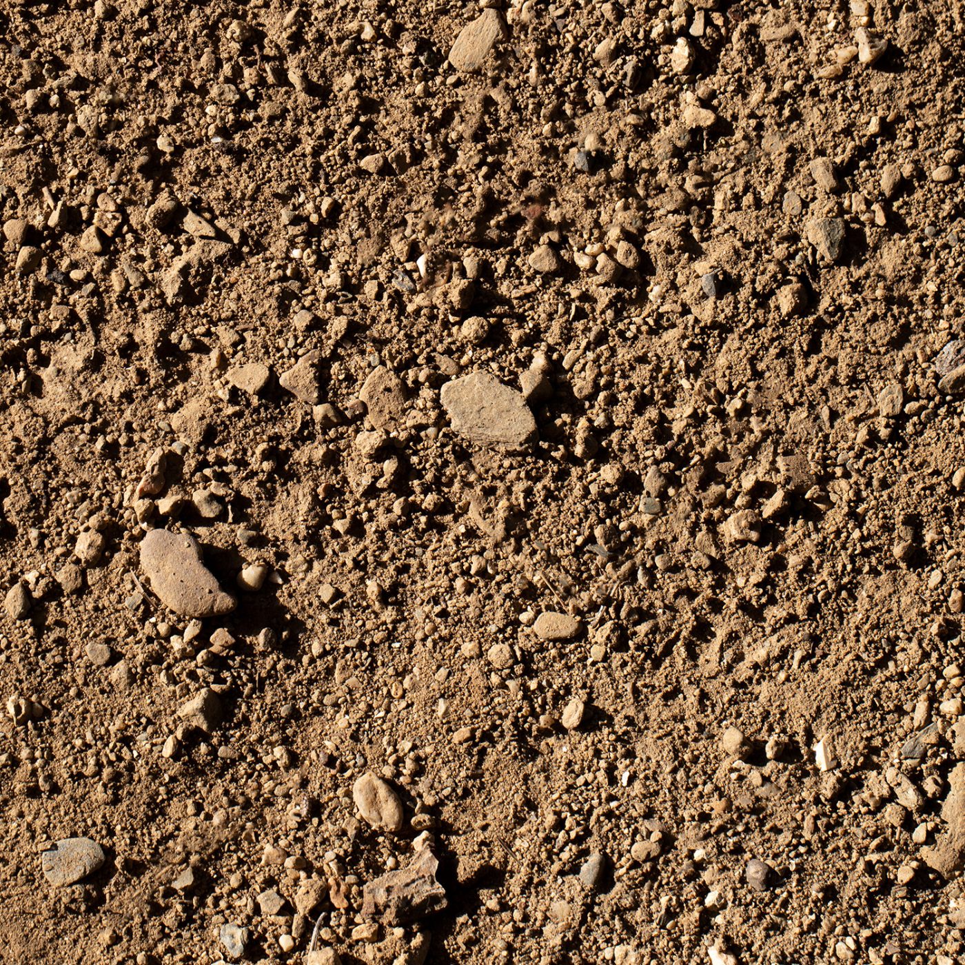 Topsoil Non-Screened