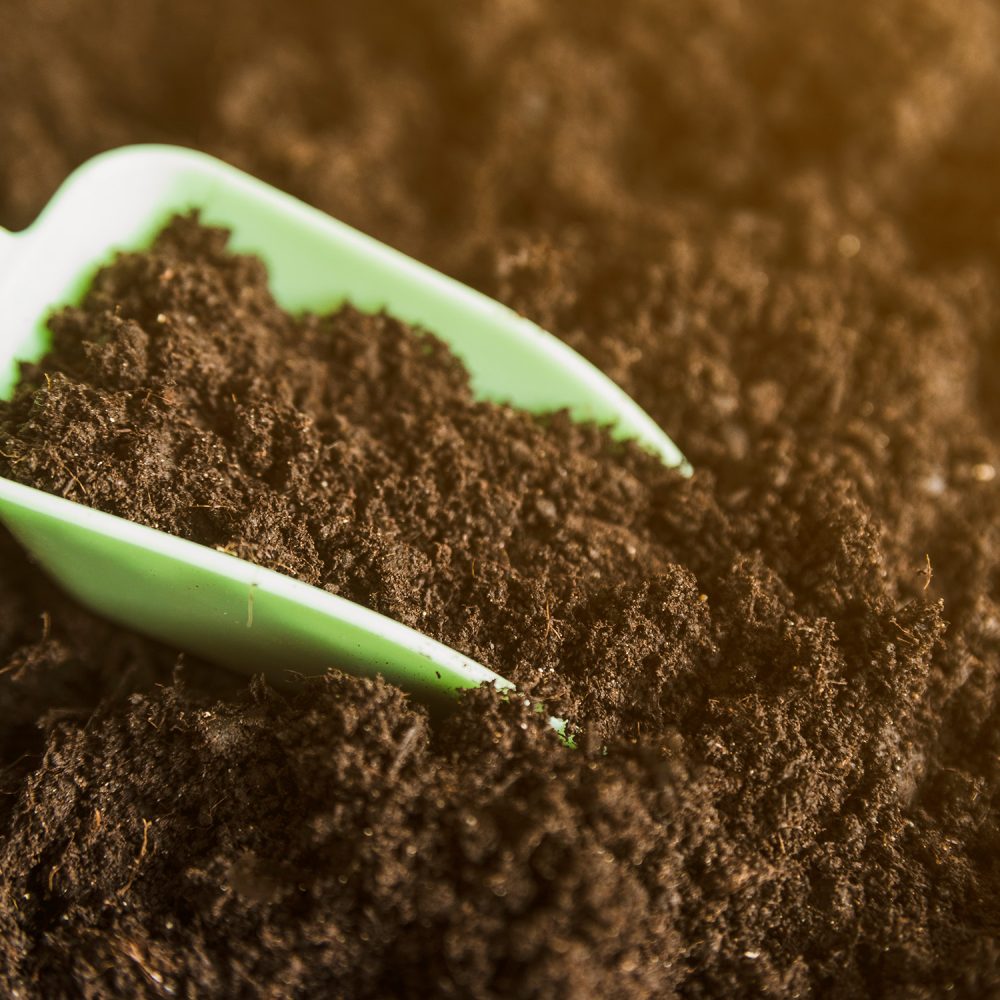 Screened Topsoil